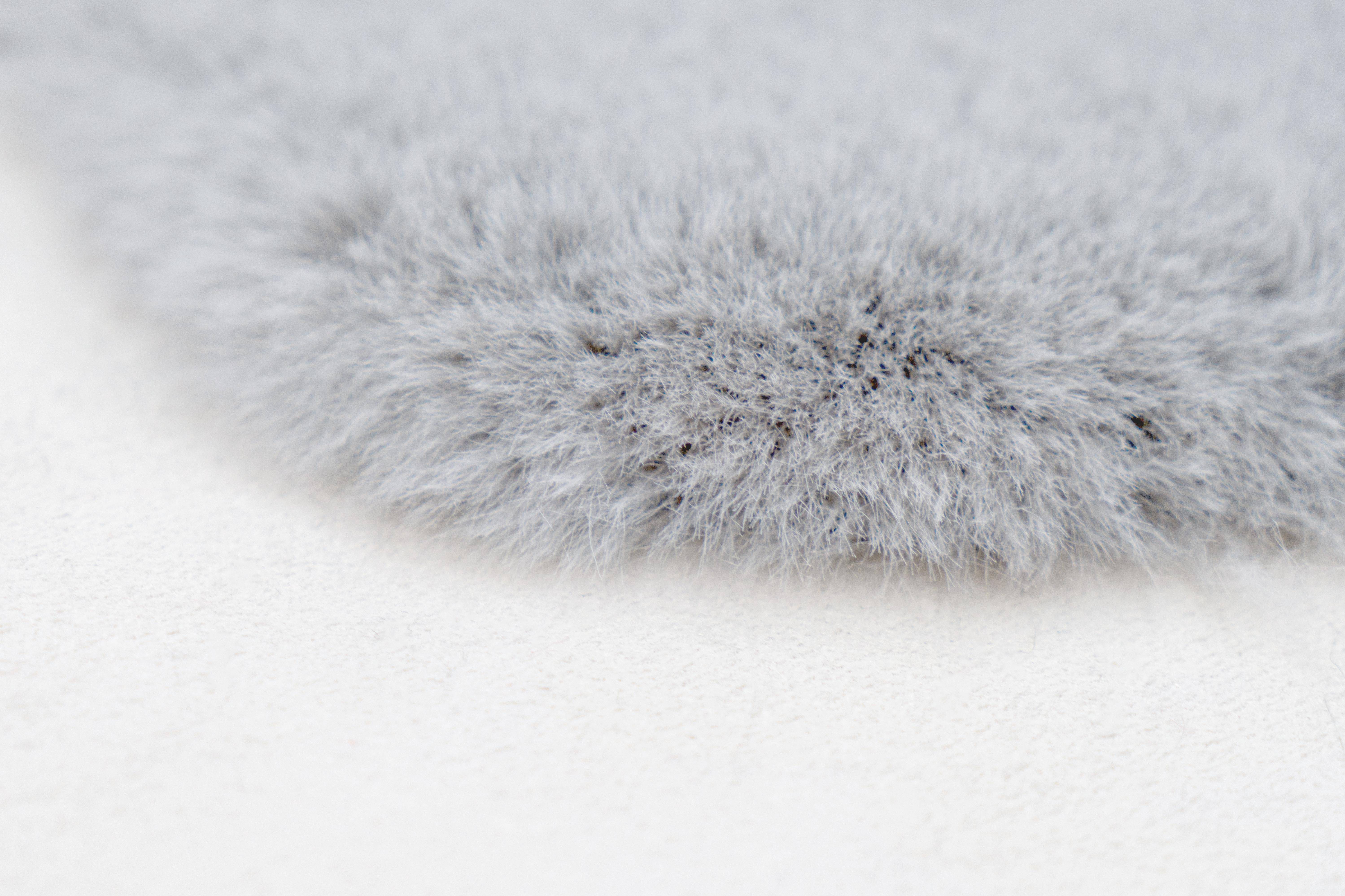 Rabbit Sheepskin 200 Grau / Blau