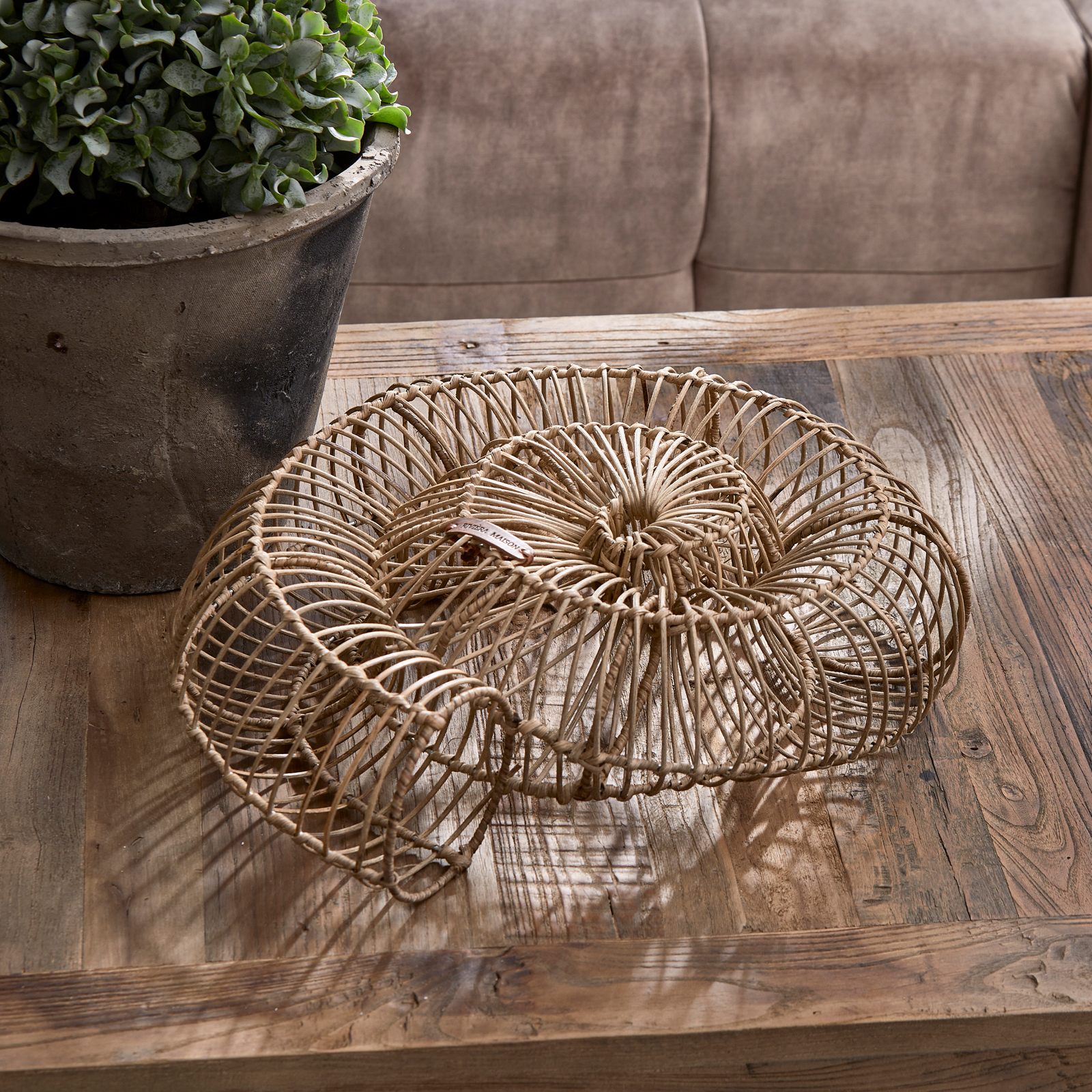 Rustic Rattan 3D Round Seashell Decoration