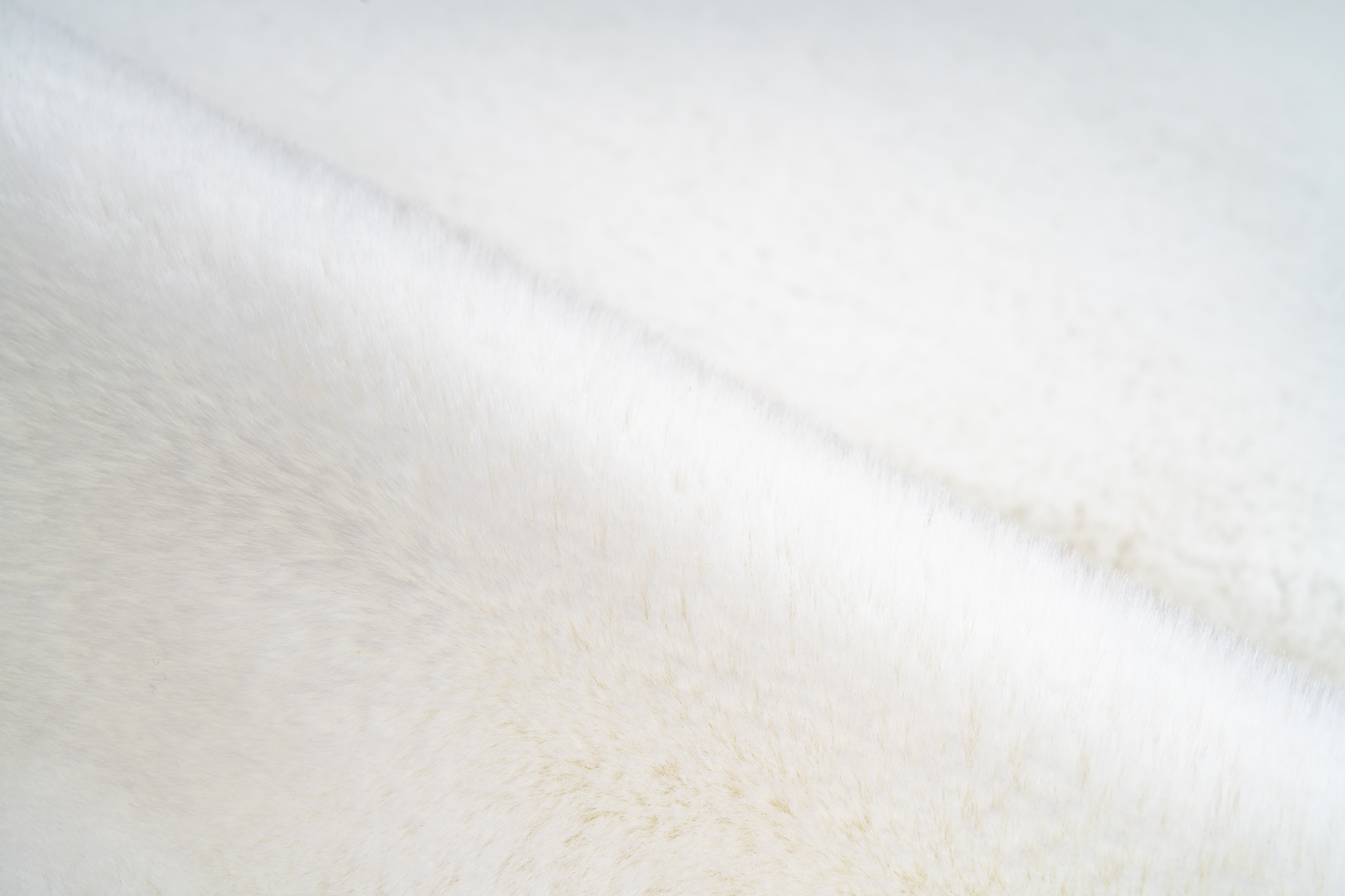 Rabbit Double Sheepskin 300 Weiß